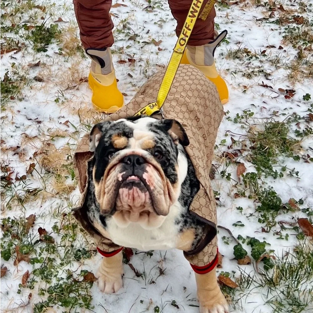 Dog Clothes - Picture 1 of 1